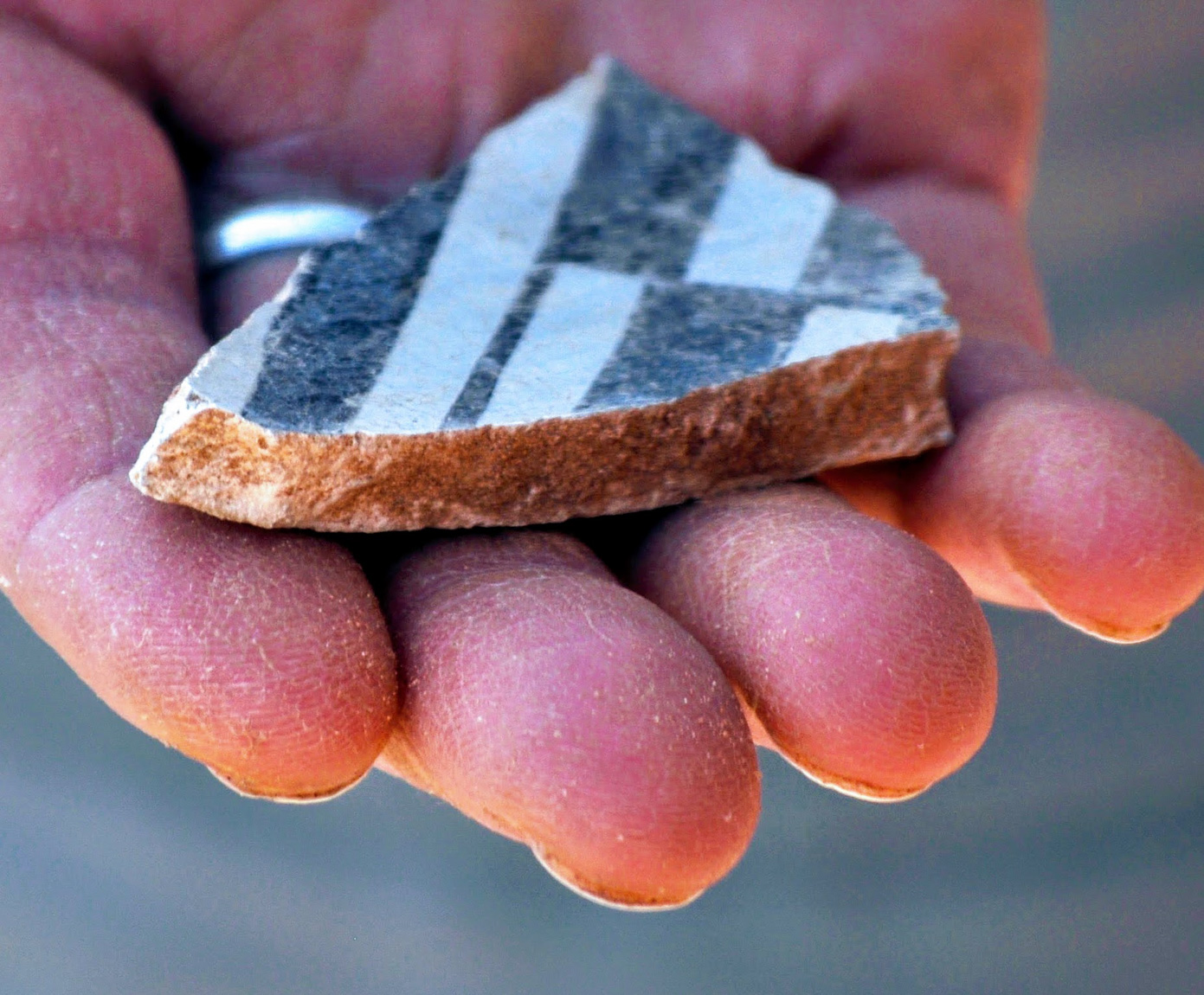 Ancient Pottery Sherd